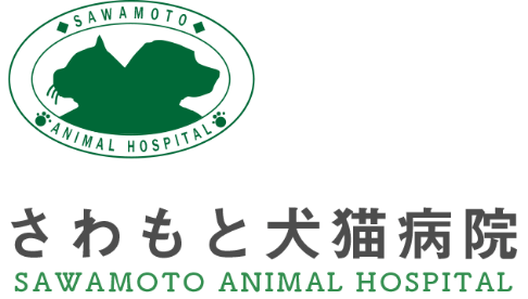 さわもと犬猫病院